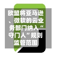 欧盟将亚马逊	、微软的云业务部门纳入“守门人”规则监管范围-第2张图片