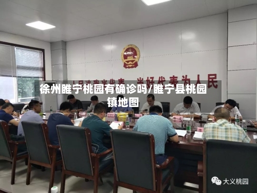 徐州睢宁桃园有确诊吗/睢宁县桃园镇地图-第3张图片