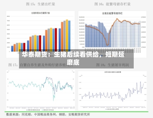 华泰期货：生猪后续看供给	，短期延磨底-第1张图片