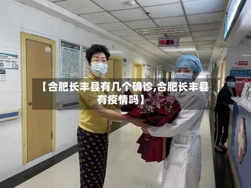 【合肥长丰县有几个确诊,合肥长丰县有疫情吗】-第3张图片