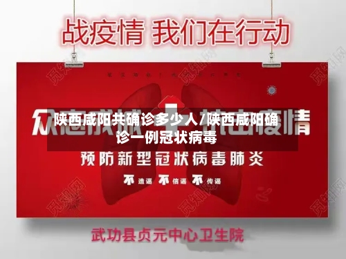 陕西咸阳共确诊多少人/陕西咸阳确诊一例冠状病毒
