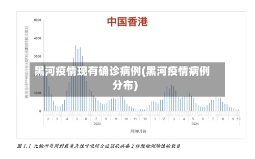 黑河疫情现有确诊病例(黑河疫情病例分布)