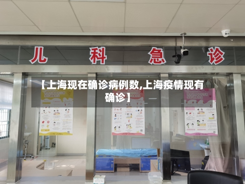 【上海现在确诊病例数,上海疫情现有确诊】