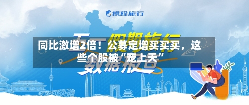 同比激增2倍！公募定增买买买，这些个股被“宠上天”-第2张图片