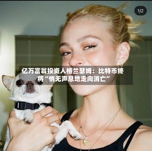 亿万富翁投资人格兰瑟姆：比特币终将“悄无声息地走向消亡”-第3张图片