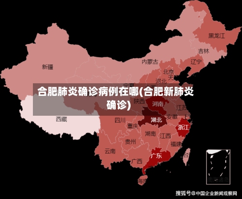 合肥肺炎确诊病例在哪(合肥新肺炎确诊)