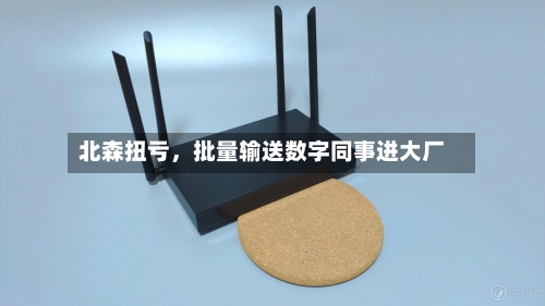北森扭亏，批量输送数字同事进大厂-第2张图片