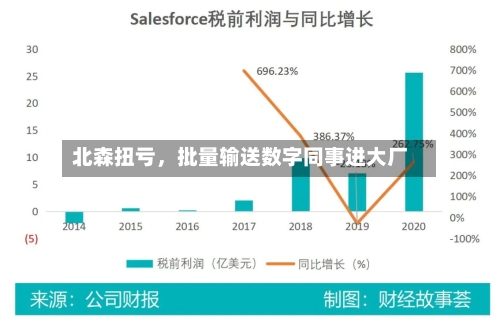北森扭亏，批量输送数字同事进大厂-第3张图片