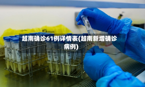 越南确诊61例详情表(越南新增确诊病例)-第3张图片