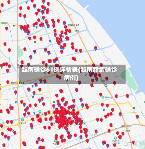 越南确诊61例详情表(越南新增确诊病例)-第2张图片