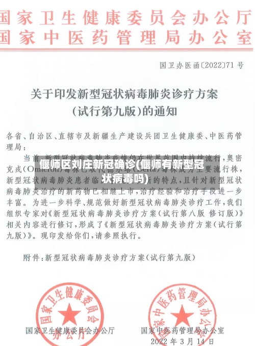 偃师区刘庄新冠确诊(偃师有新型冠状病毒吗)-第2张图片