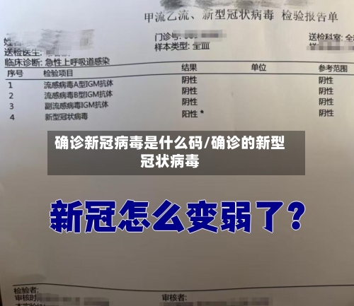 确诊新冠病毒是什么码/确诊的新型冠状病毒-第3张图片