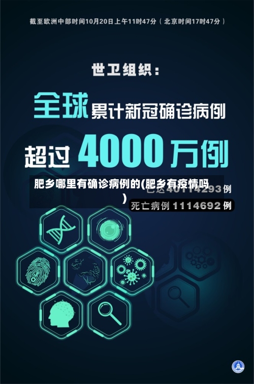 肥乡哪里有确诊病例的(肥乡有疫情吗)-第2张图片