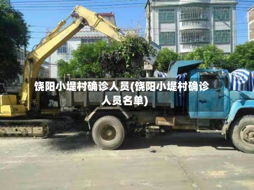饶阳小堤村确诊人员(饶阳小堤村确诊人员名单)
