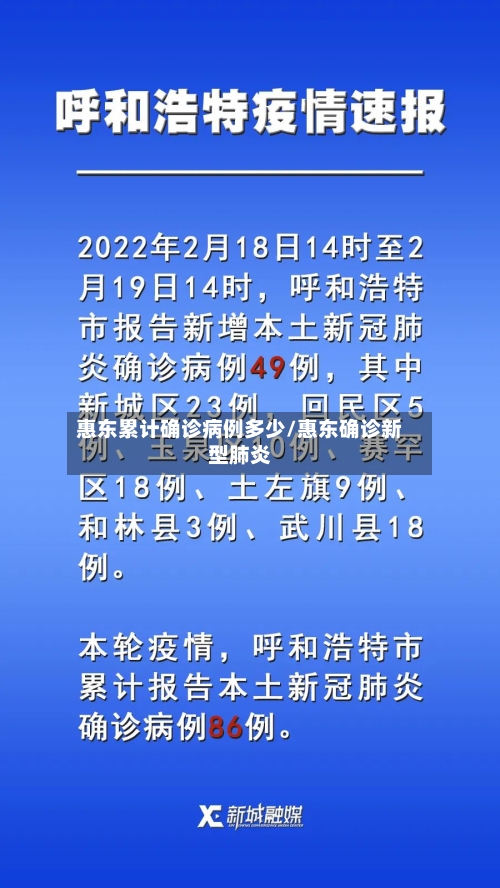 惠东累计确诊病例多少/惠东确诊新型肺炎-第2张图片