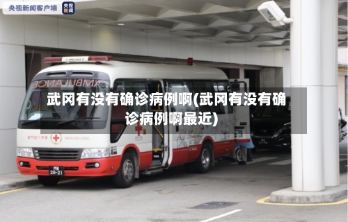 武冈有没有确诊病例啊(武冈有没有确诊病例啊最近)