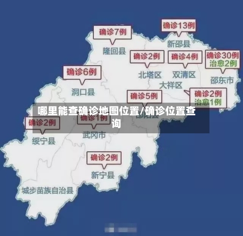 哪里能查确诊地图位置/确诊位置查询