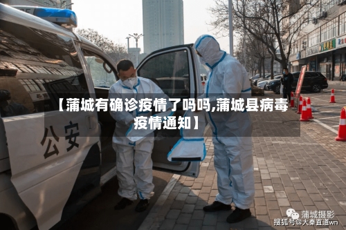 【蒲城有确诊疫情了吗吗,蒲城县病毒疫情通知】-第2张图片