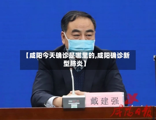 【咸阳今天确诊是哪里的,咸阳确诊新型肺炎】-第2张图片