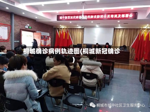 桐城确诊病例轨迹图(桐城新冠确诊)