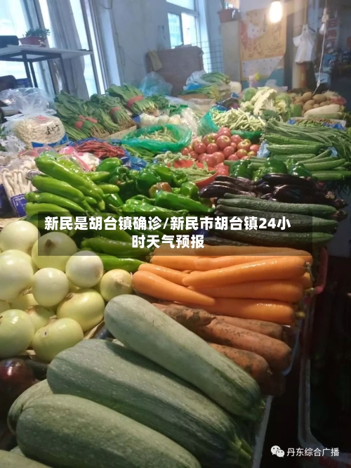 新民是胡台镇确诊/新民市胡台镇24小时天气预报-第3张图片