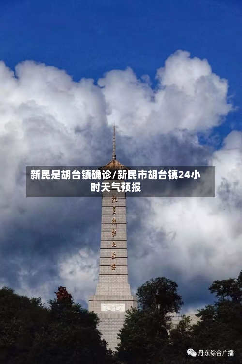 新民是胡台镇确诊/新民市胡台镇24小时天气预报-第2张图片