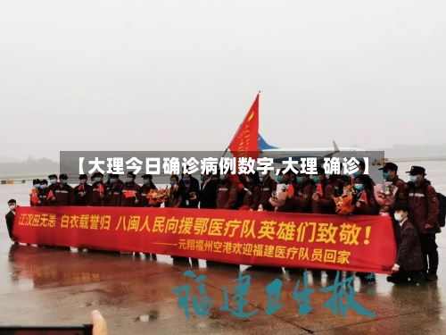 【大理今日确诊病例数字,大理 确诊】