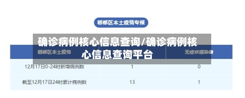 确诊病例核心信息查询/确诊病例核心信息查询平台-第2张图片