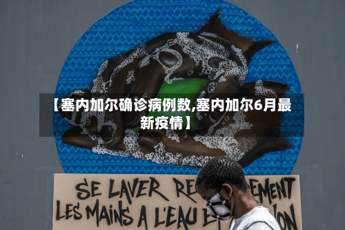 【塞内加尔确诊病例数,塞内加尔6月最新疫情】-第2张图片
