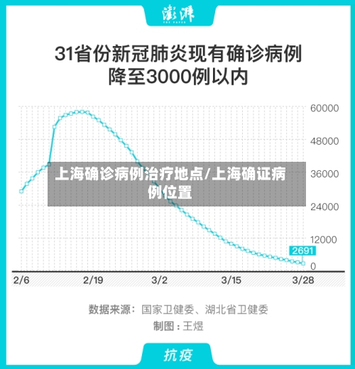 上海确诊病例治疗地点/上海确证病例位置