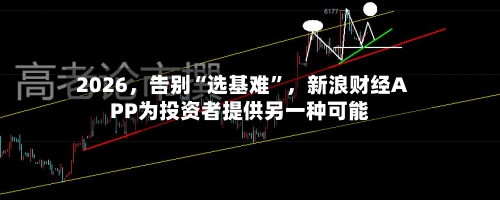 2026，告别“选基难”，新浪财经APP为投资者提供另一种可能-第3张图片