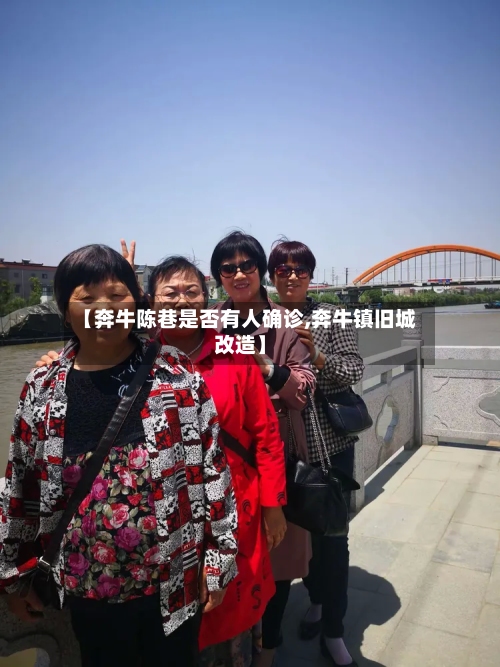 【奔牛陈巷是否有人确诊,奔牛镇旧城改造】