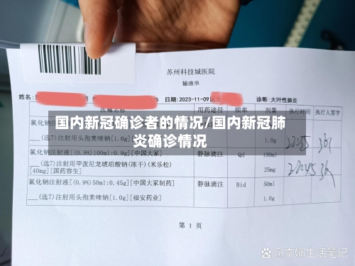 国内新冠确诊者的情况/国内新冠肺炎确诊情况