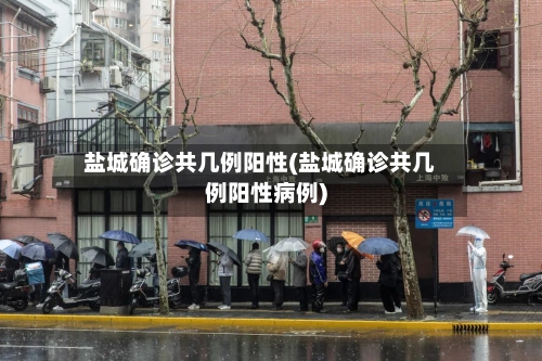 盐城确诊共几例阳性(盐城确诊共几例阳性病例)-第2张图片