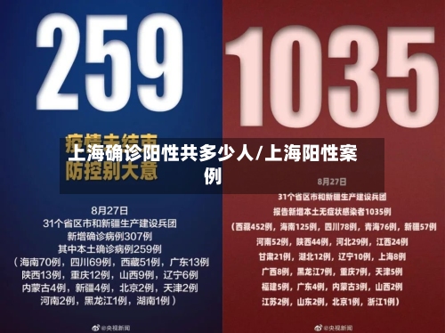 上海确诊阳性共多少人/上海阳性案例