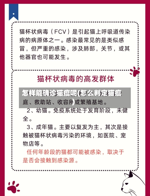 怎样能确诊猫瘟呢(怎么判定猫瘟)