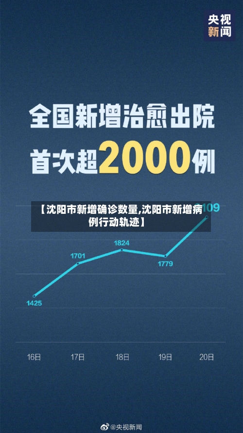 【沈阳市新增确诊数量,沈阳市新增病例行动轨迹】-第3张图片
