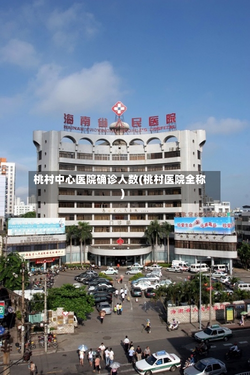 桃村中心医院确诊人数(桃村医院全称)-第3张图片