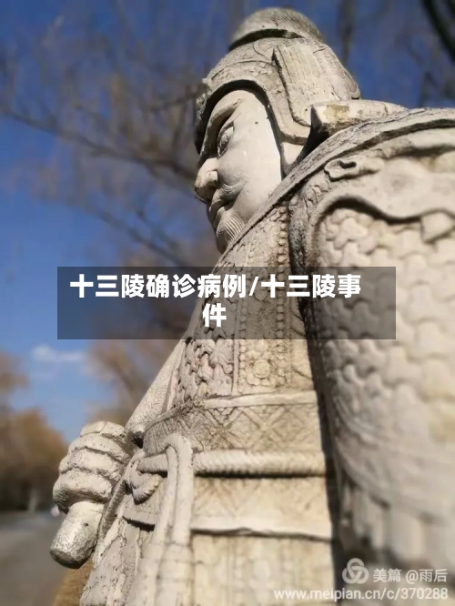 十三陵确诊病例/十三陵事件