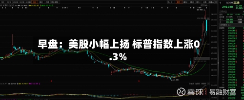 早盘:美股小幅上扬 标普指数上涨0.3%-第2张图片