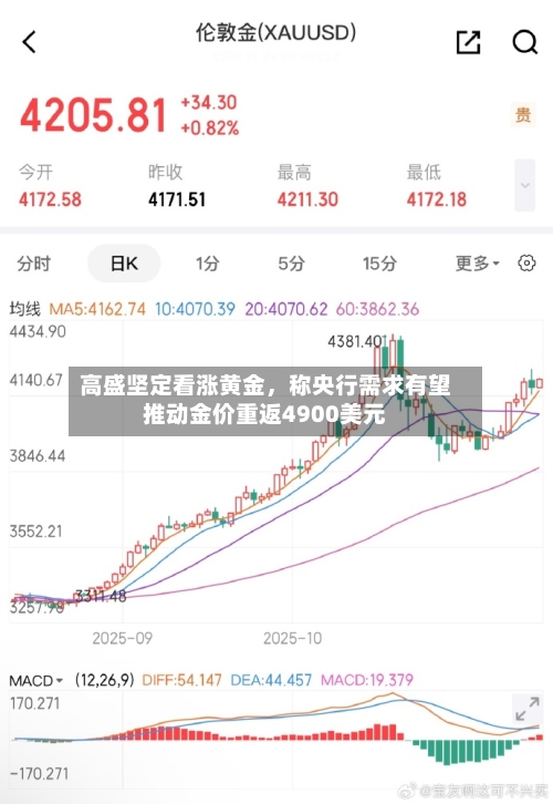 高盛坚定看涨黄金	，称央行需求有望推动金价重返4900美元-第2张图片