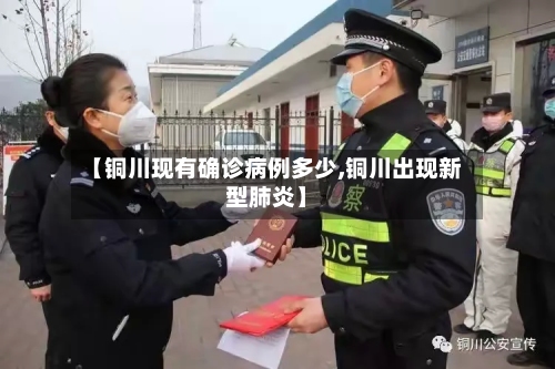 【铜川现有确诊病例多少,铜川出现新型肺炎】