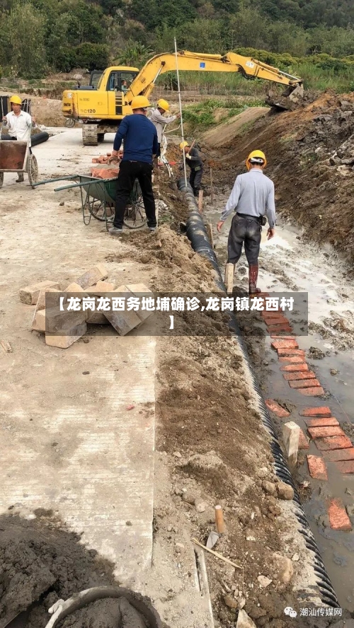 【龙岗龙西务地埔确诊,龙岗镇龙西村】