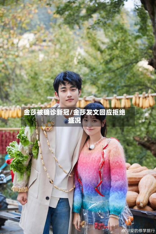 金莎被确诊新冠/金莎发文回应拒绝盛况-第2张图片