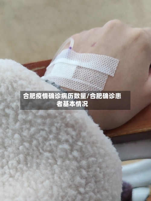 合肥疫情确诊病历数量/合肥确诊患者基本情况-第2张图片
