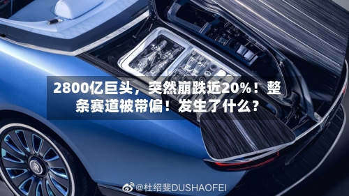 2800亿巨头，突然崩跌近20%！整条赛道被带偏！发生了什么？-第2张图片