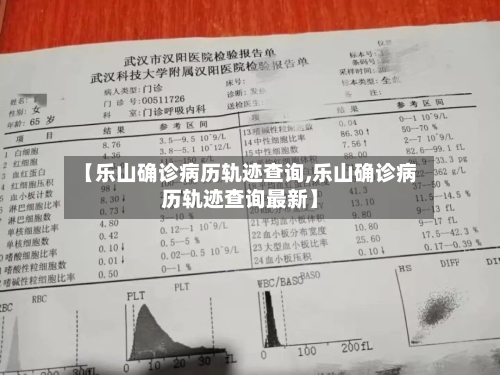 【乐山确诊病历轨迹查询,乐山确诊病历轨迹查询最新】-第3张图片
