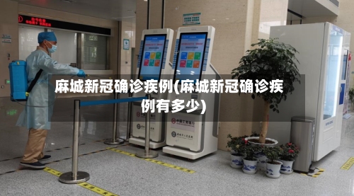 麻城新冠确诊疾例(麻城新冠确诊疾例有多少)-第2张图片