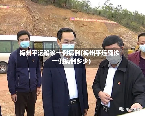 梅州平远确诊一例病例(梅州平远确诊一例病例多少)-第2张图片