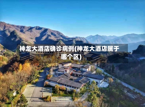 神龙大酒店确诊病例(神龙大酒店属于哪个区)-第2张图片